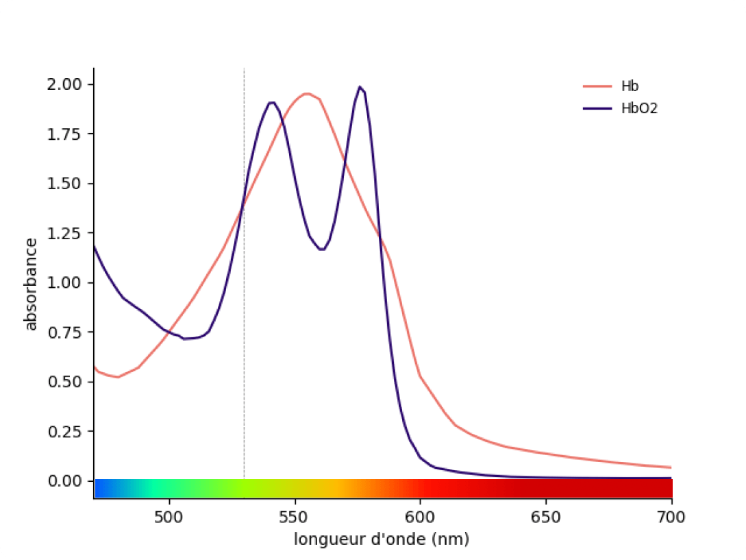 spectreabsoption.png